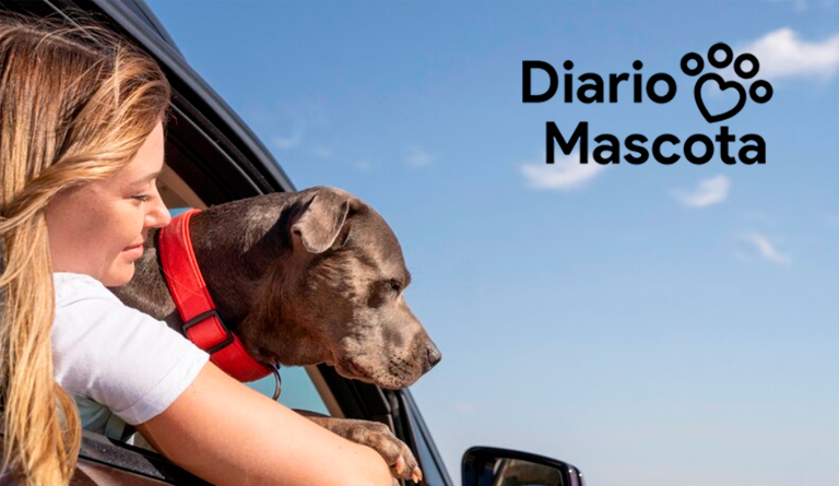 Alquiler Vacacional Pet-Friendly en la Costa del Sol